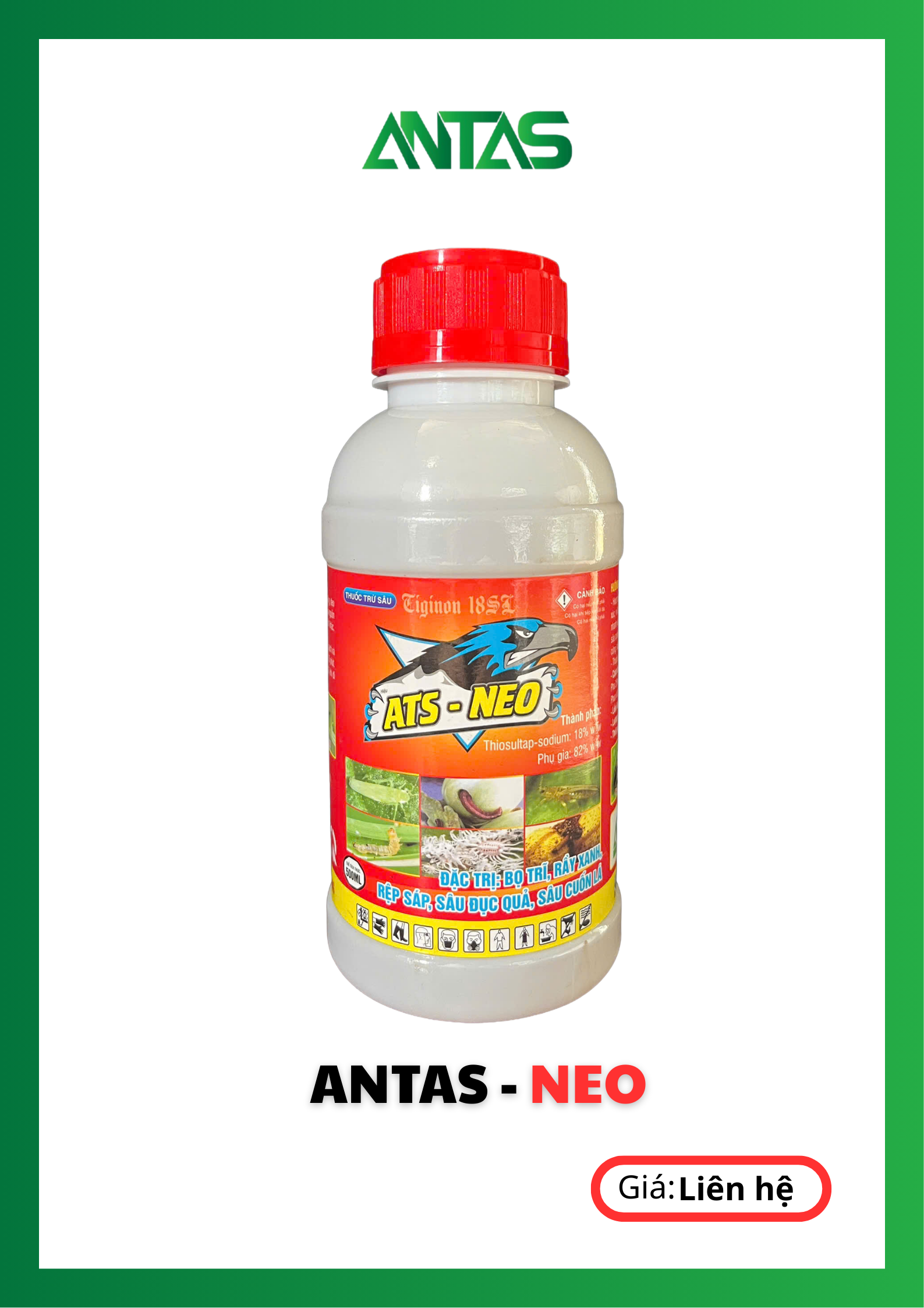 antas neo