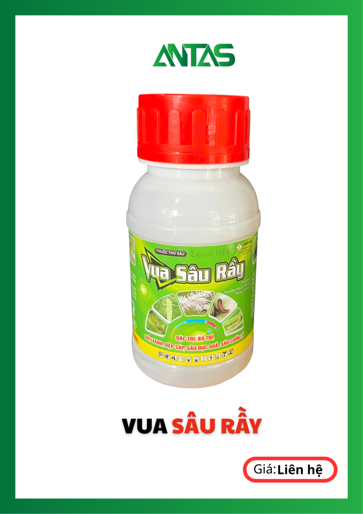 vua sâu rầy