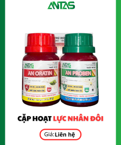 cặp thuốc trị nhện rầy