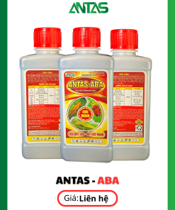 Thuốc trừ sâu rầy