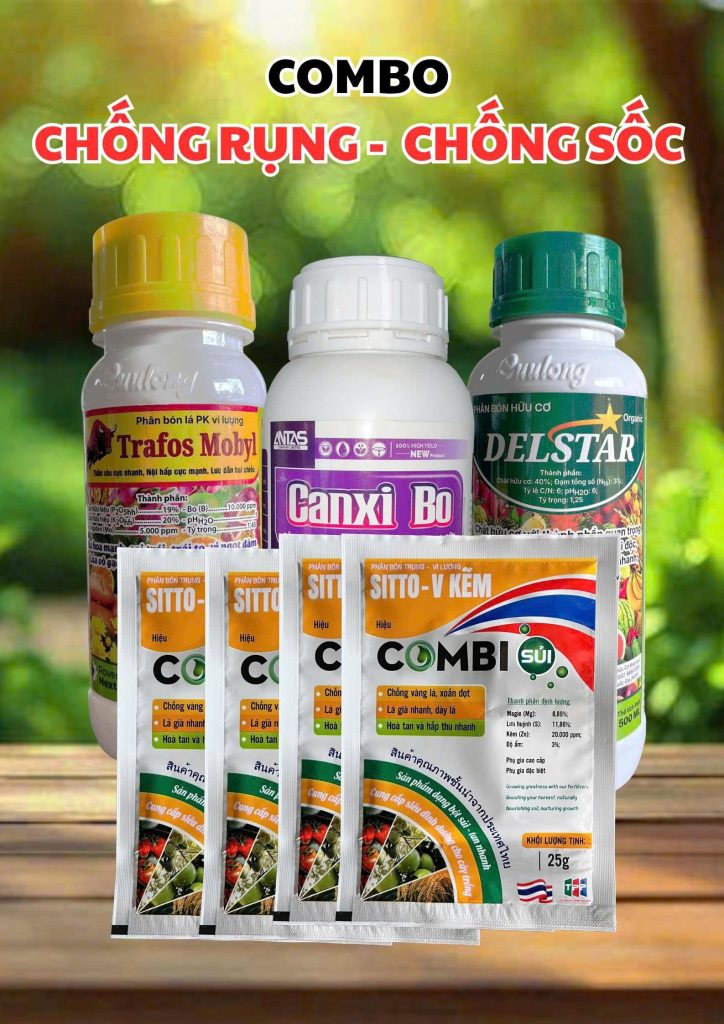 Chống rụng, chống sốc