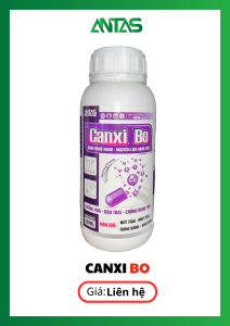 Canxi Bo Antas