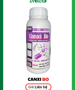 Canxi Bo Antas