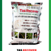 Tas Recover