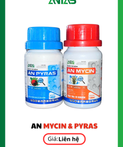 Combo AN MYCIN & AN PYRAS
